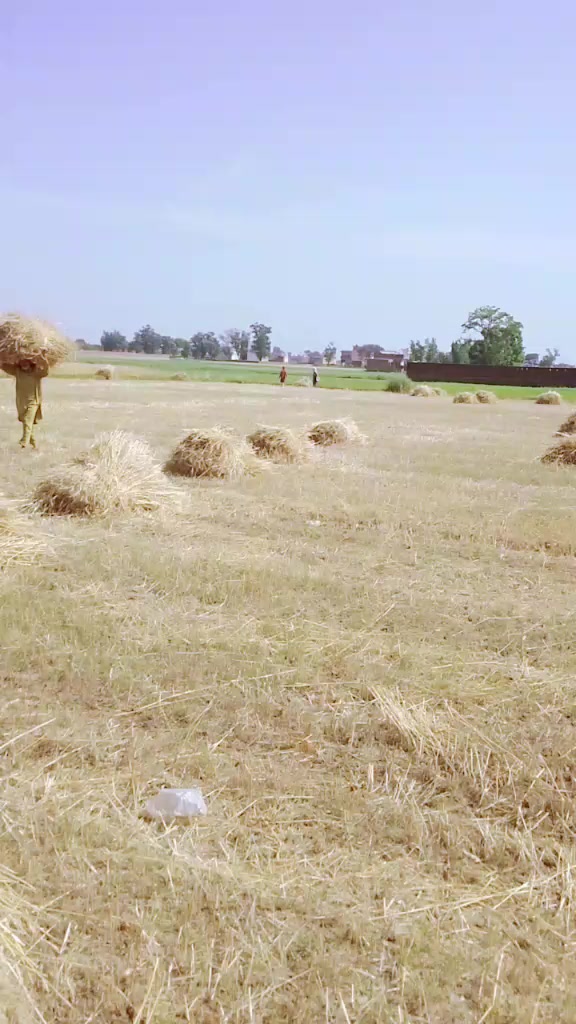 @Ghulam Murtaza Rehmani😎