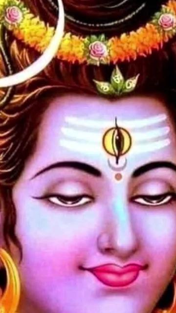 @NAGENDRA YADAV 432