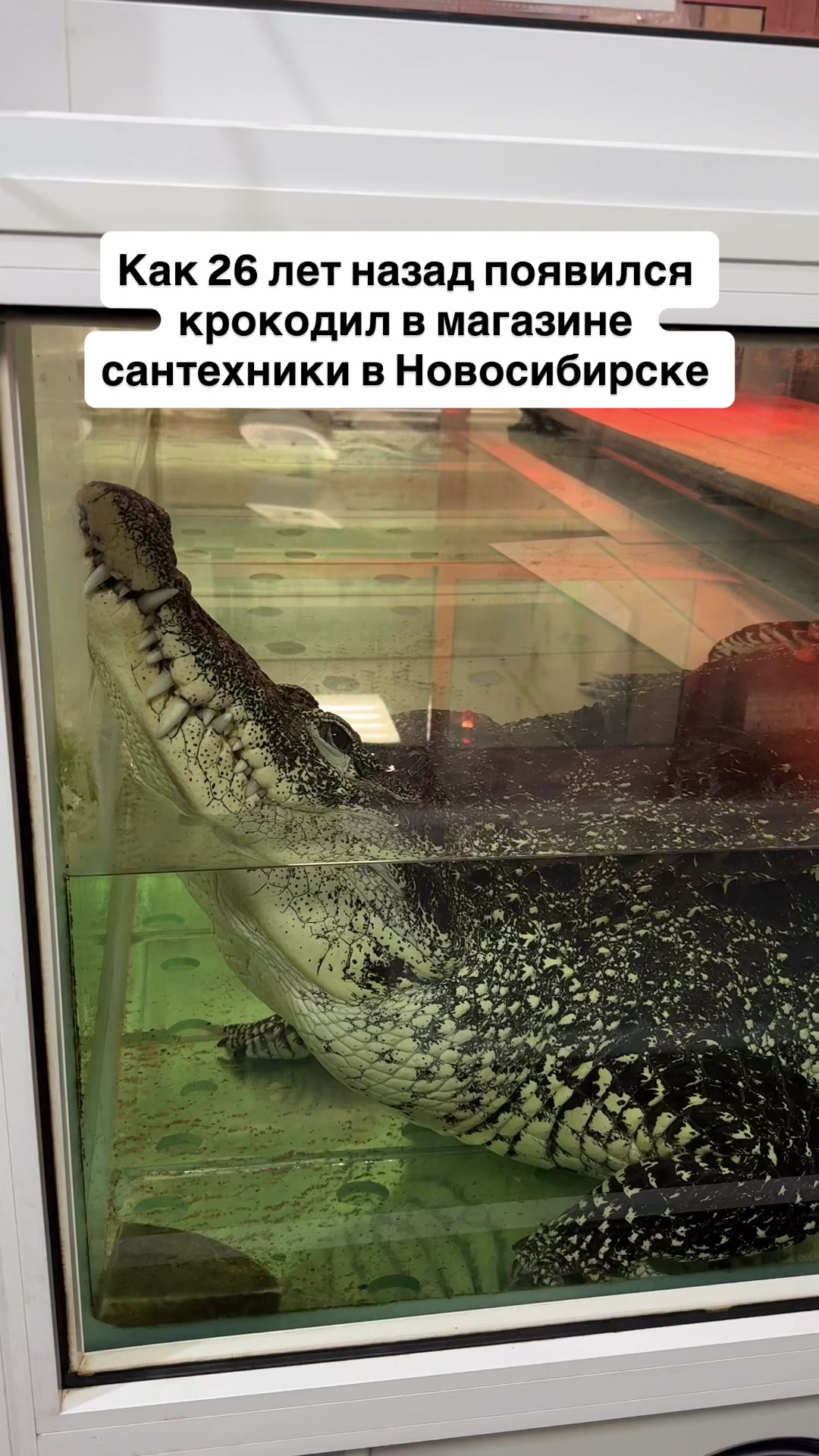 @Baranov_Vasiliy