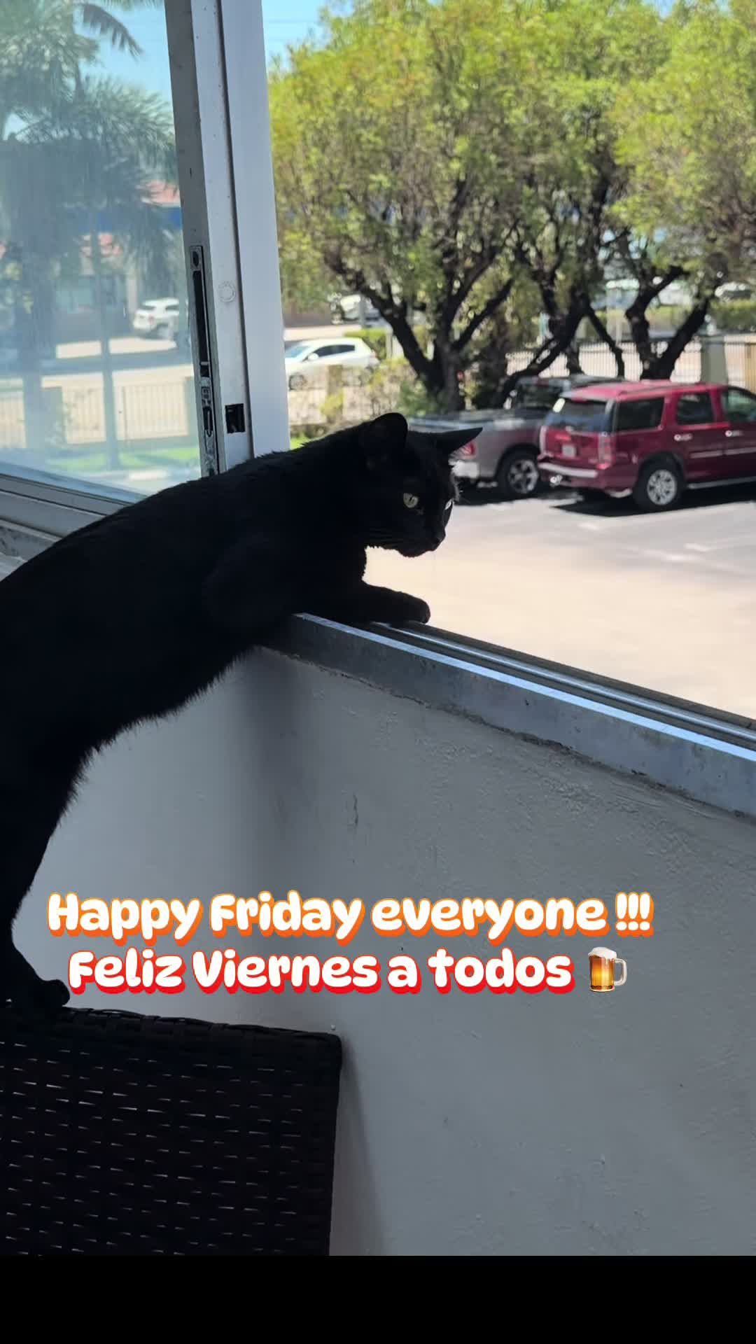 @I&rsquo;m Kitty 🐈&zwj;⬛