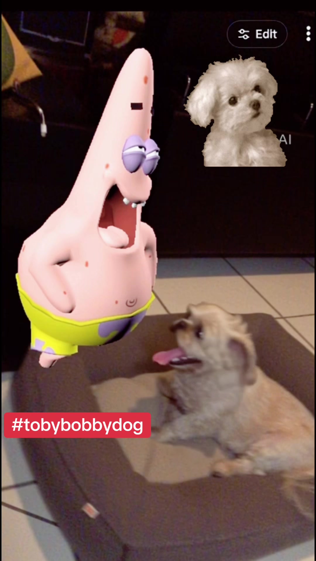 @Tobybobbydog