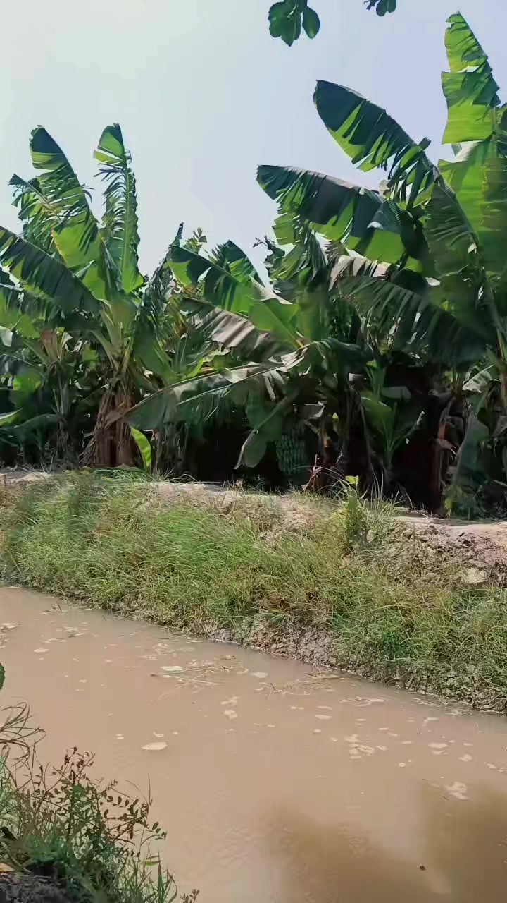 @harjikumar159