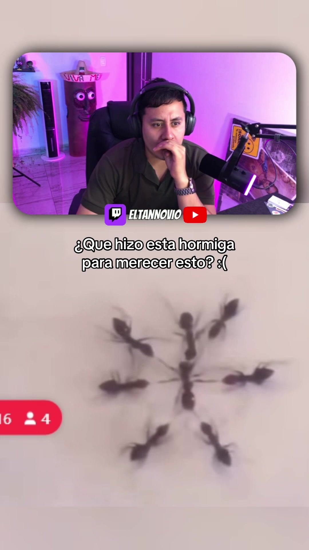 @eltannovio