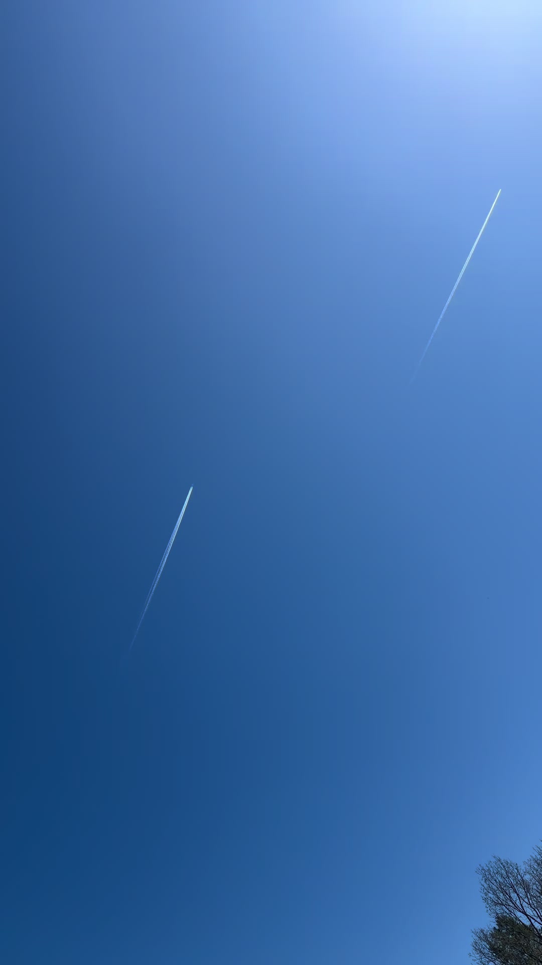 @𝓡𝓸𝓳𝓭𝓪☀️