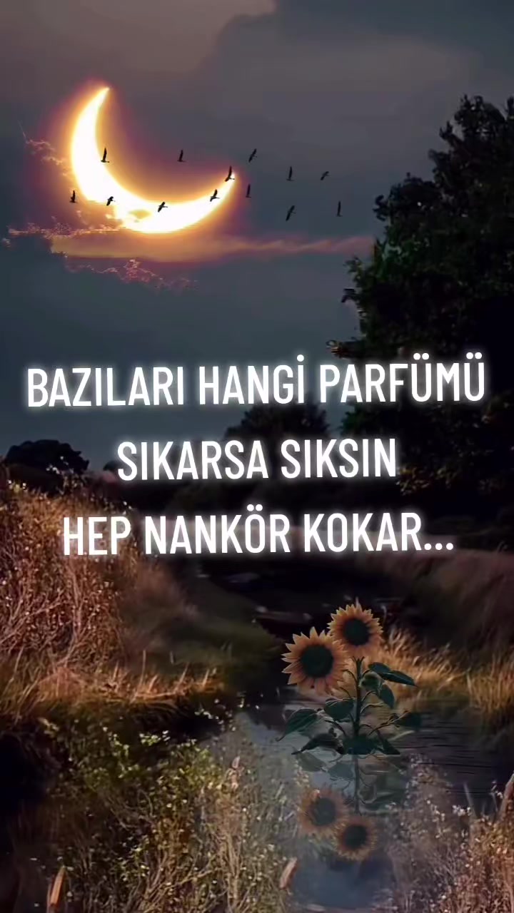 @jetfahrettin o6