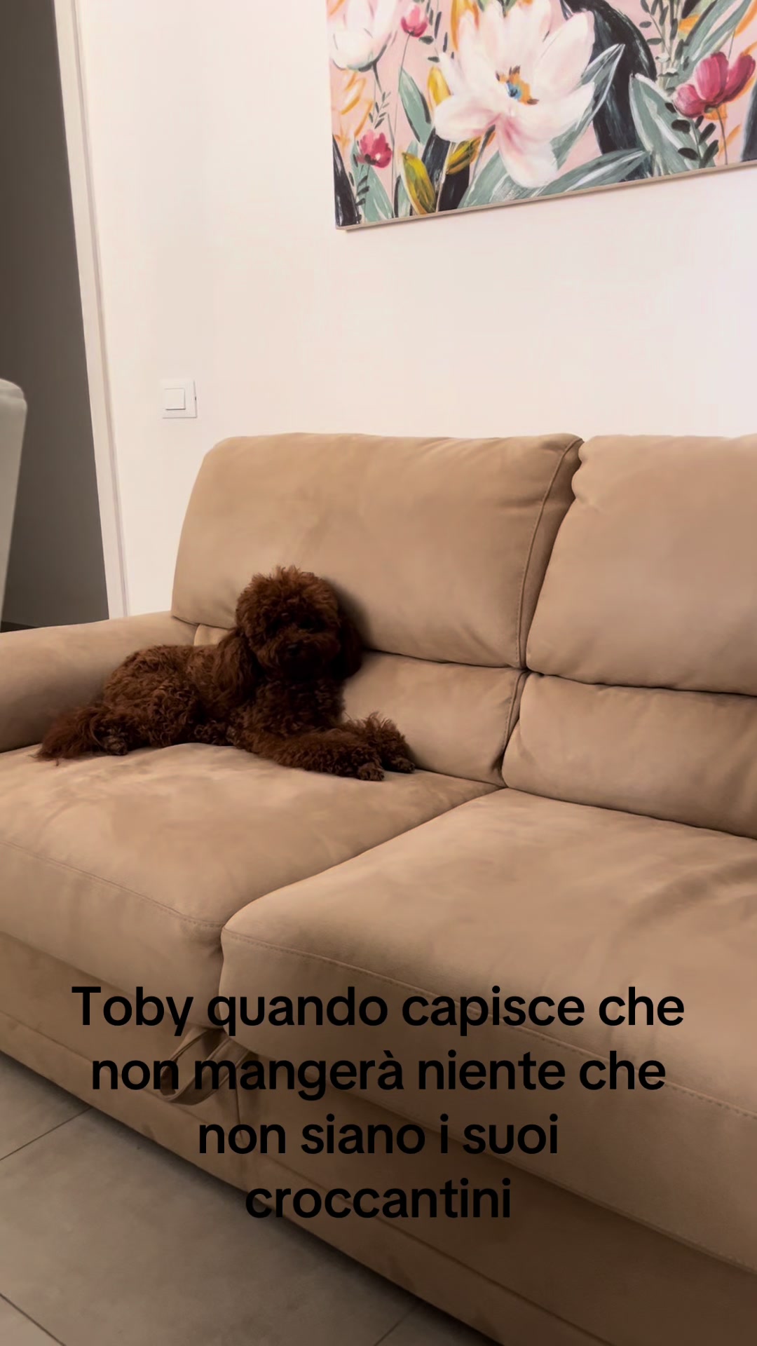 @Il mondo di Toby e Ulisse 🐩