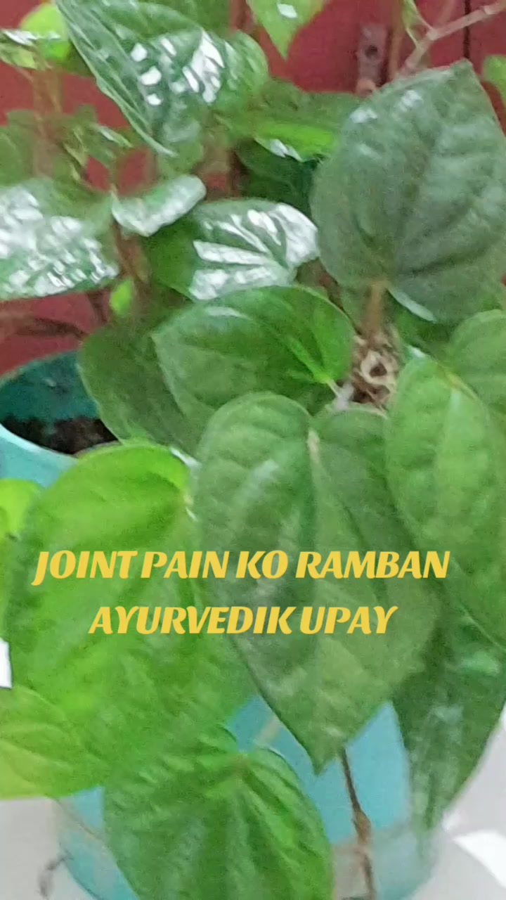 @RANJAN SINGH 3065