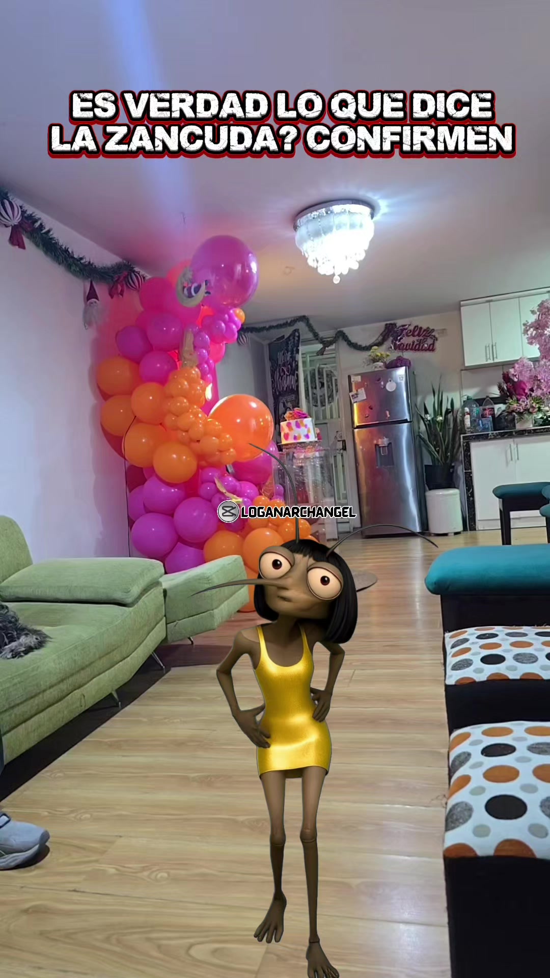 @Barbara Roo