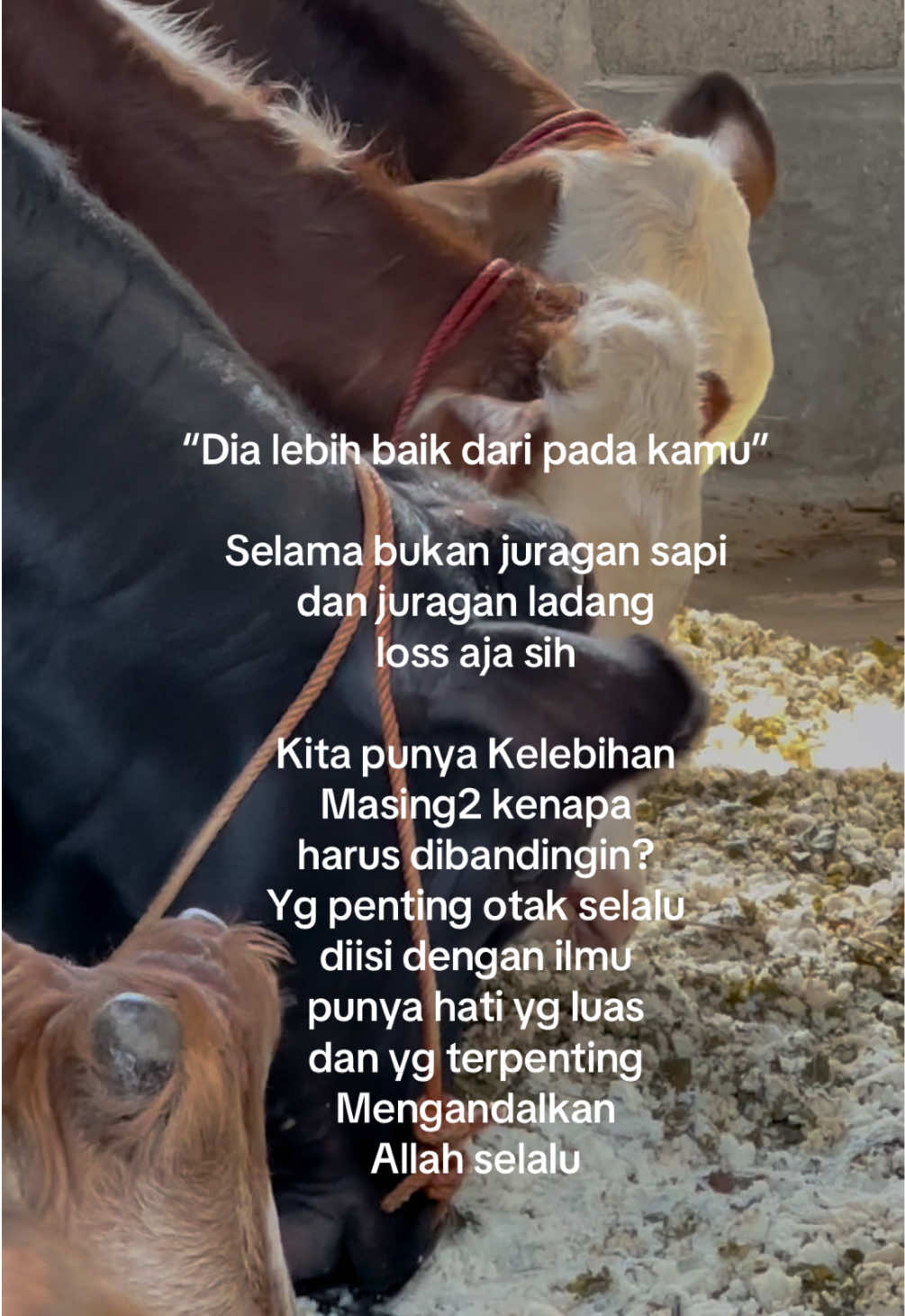 @Diah ayu komalasari