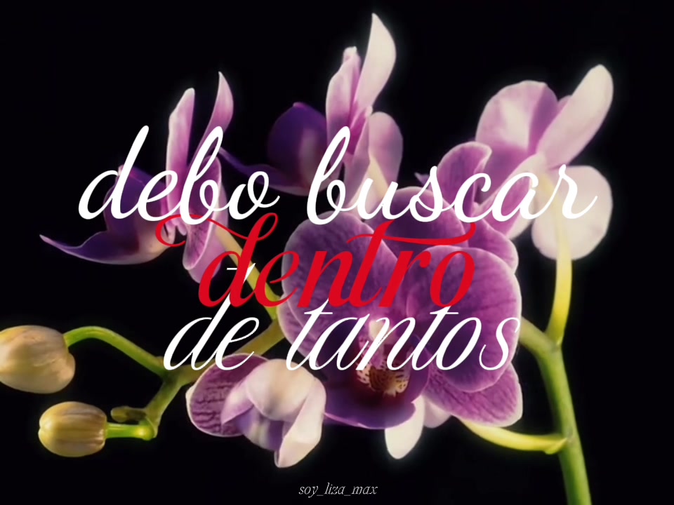 @꧁✯𝐿𝑖𝑧𝑎✯꧂