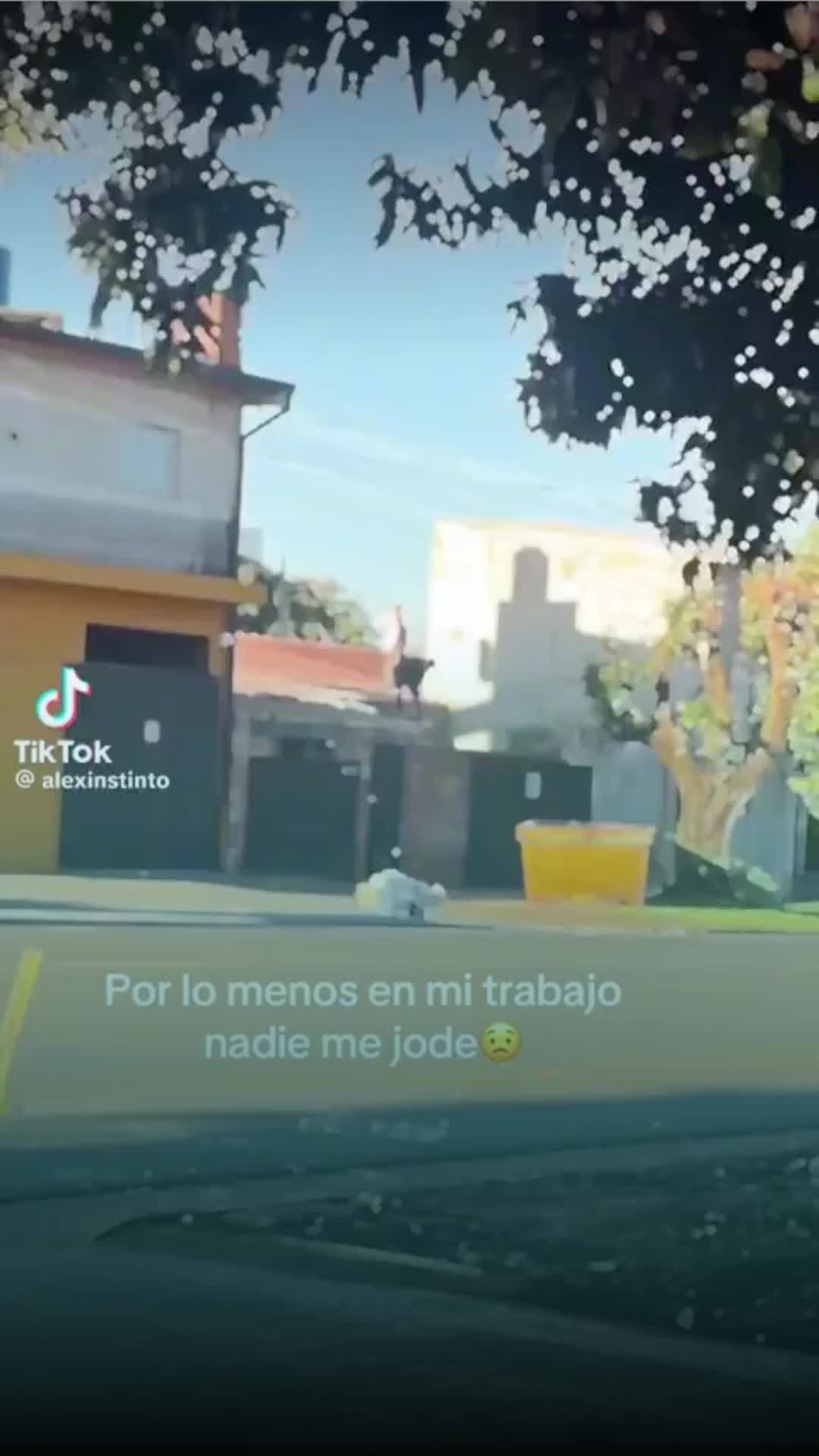 @Entre líneas
