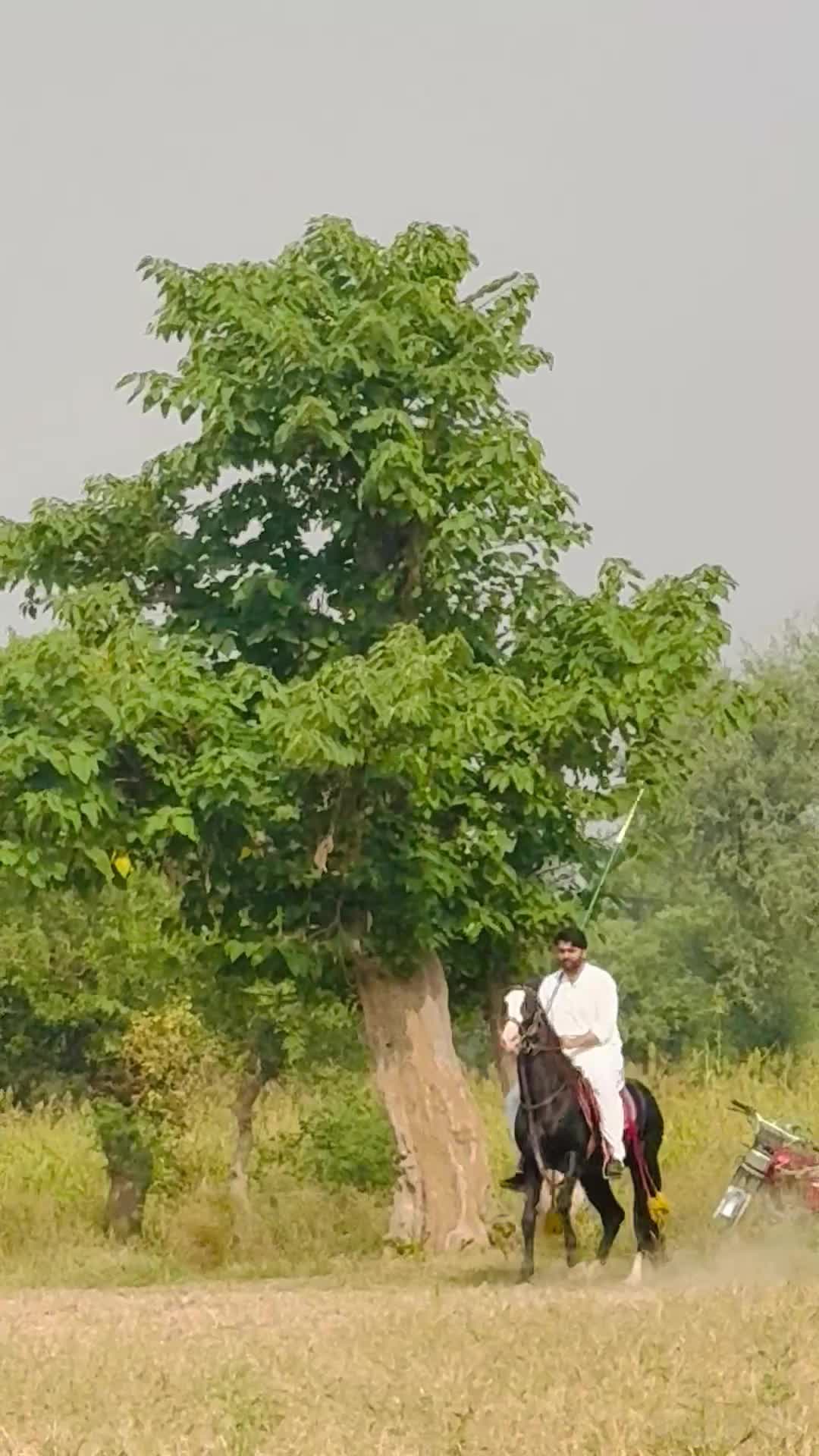 @zabitzamankhan786