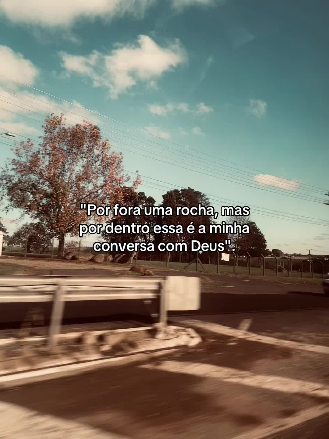@kaucastanhoo🐻