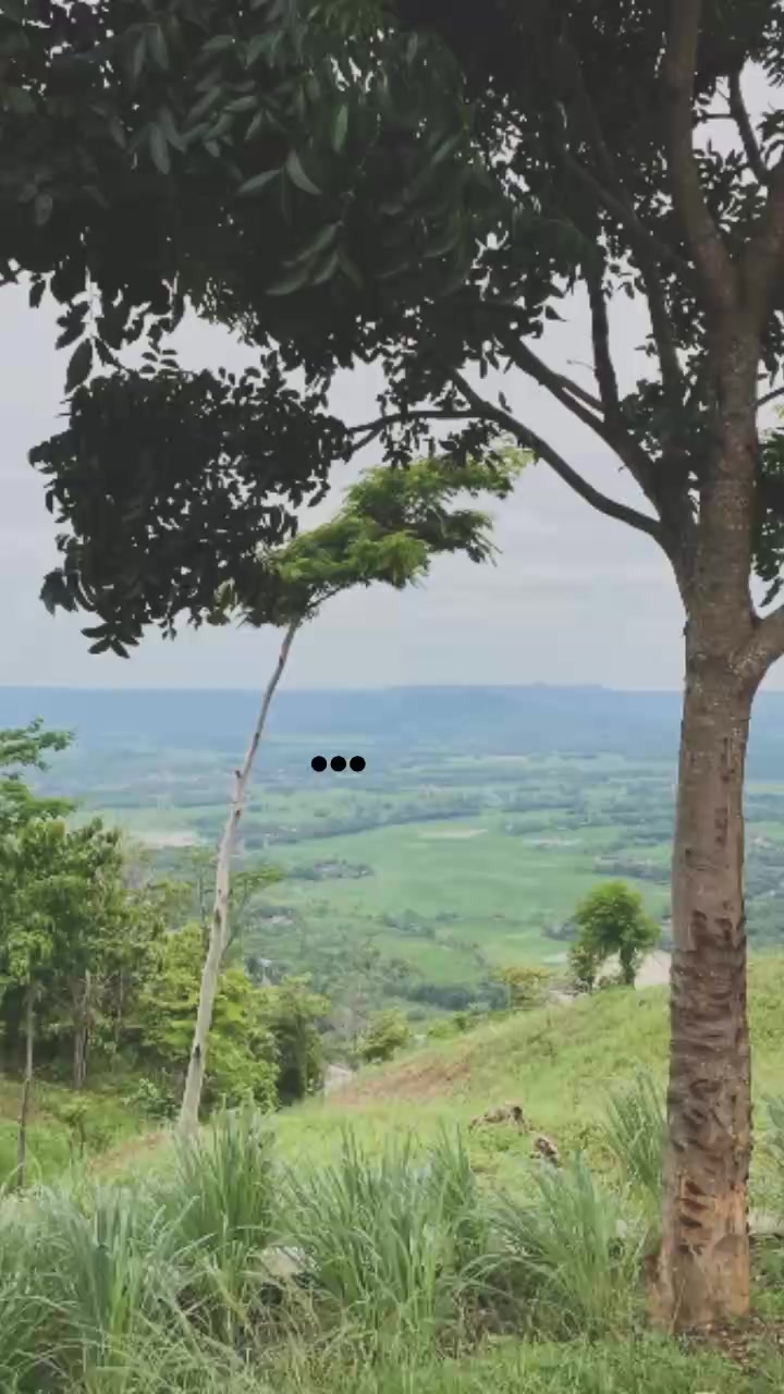 @𝘊𝘩4𝘳𝘥𝘴.