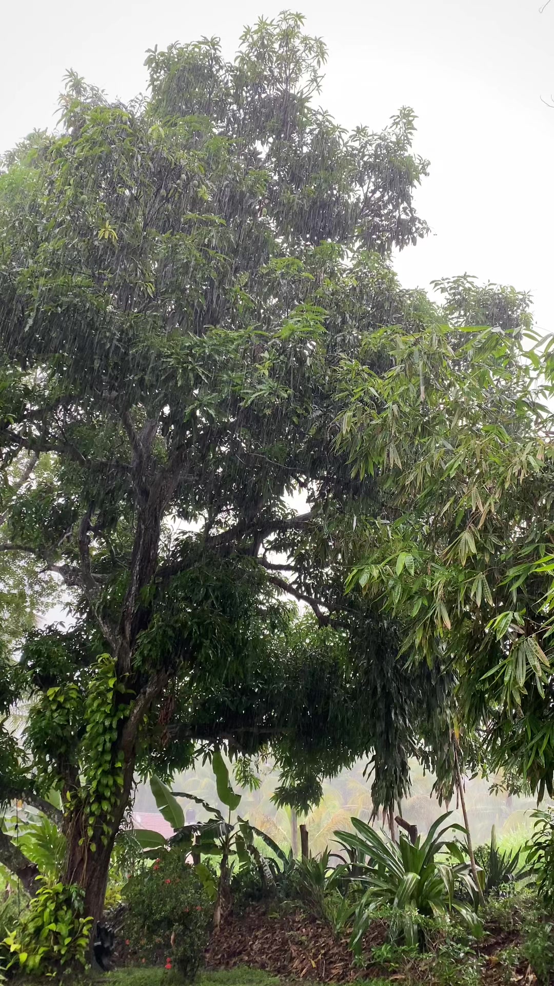 @Thibbatu.Lk