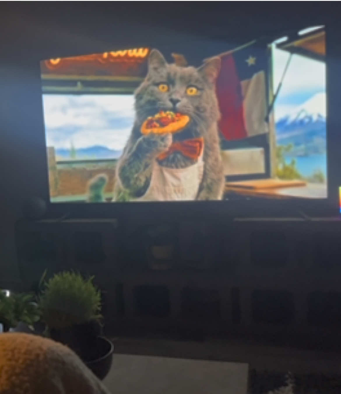 @KIRACAT