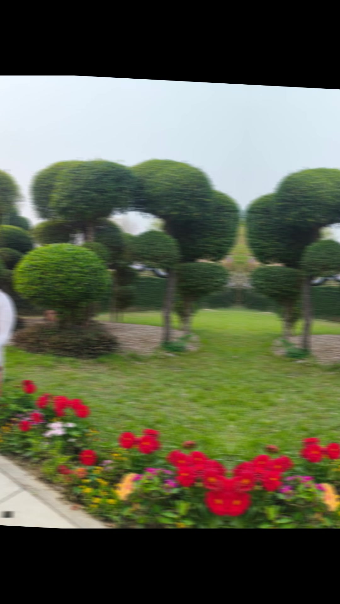 @jamuna sapkota