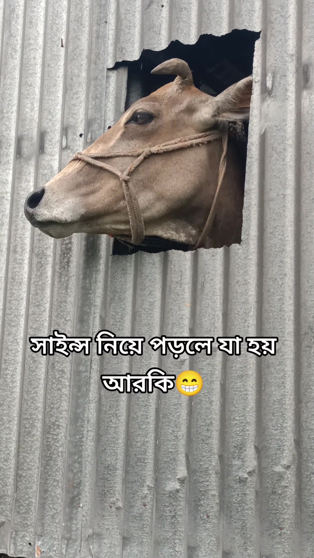 @≈!!🩷পি_»«_চ্চি🩷!!≈