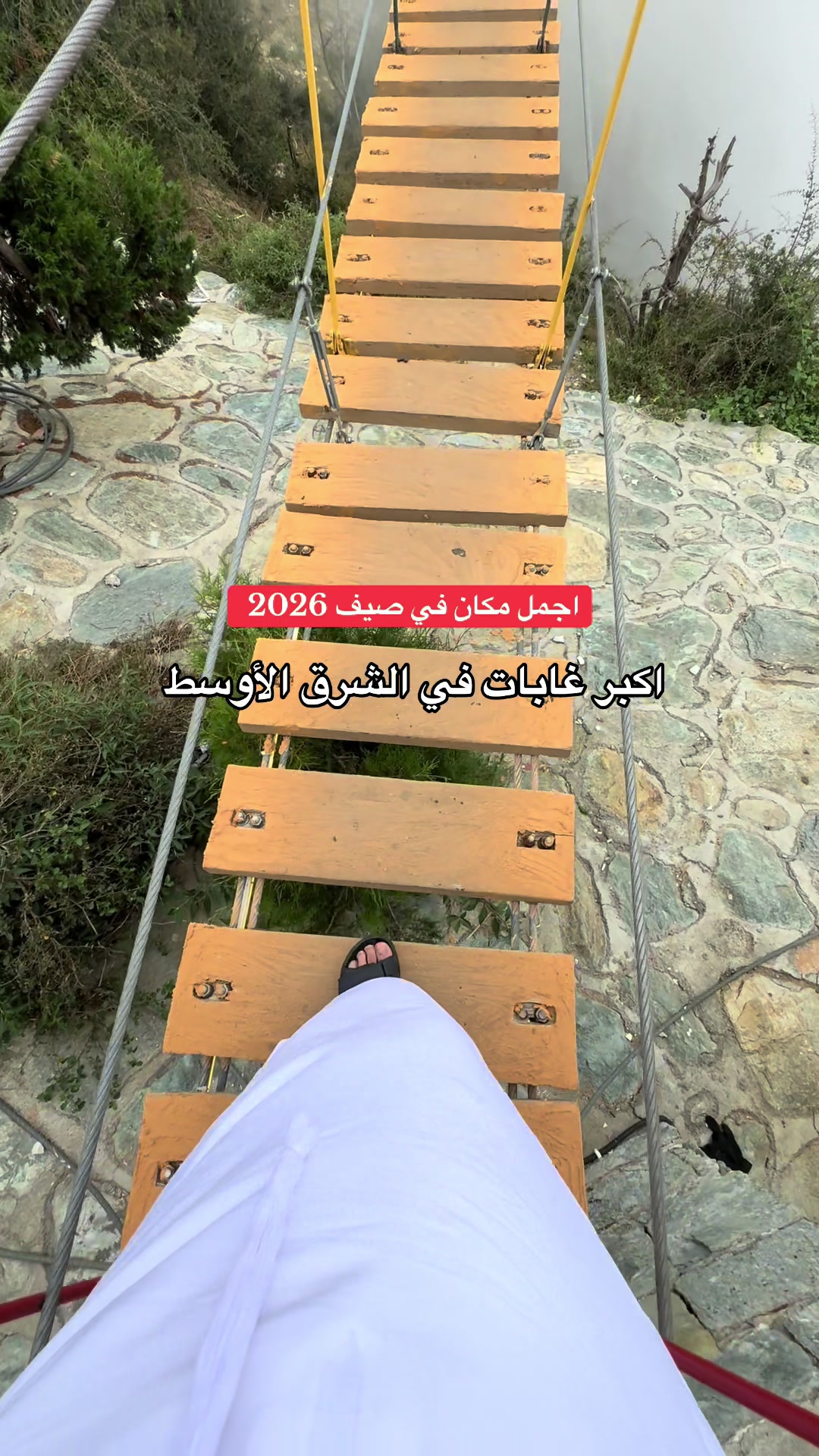 @محمد الشحي ✈️🇦🇪