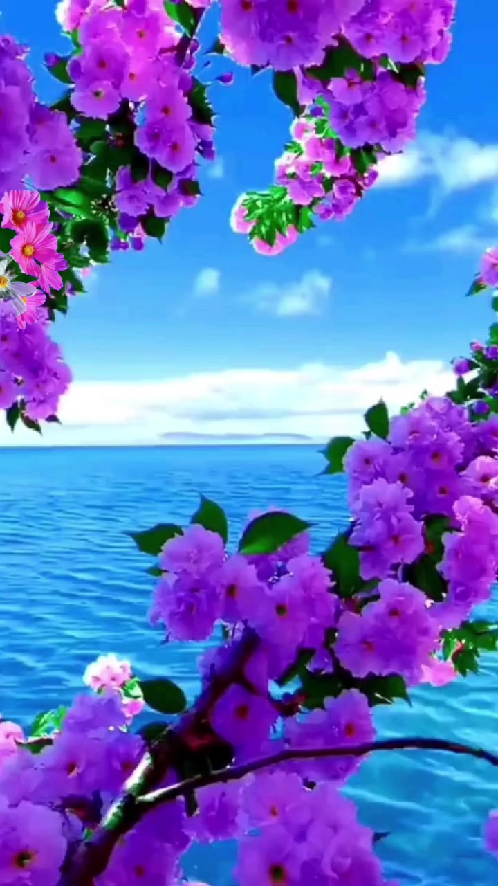 @Oanh Diễm
