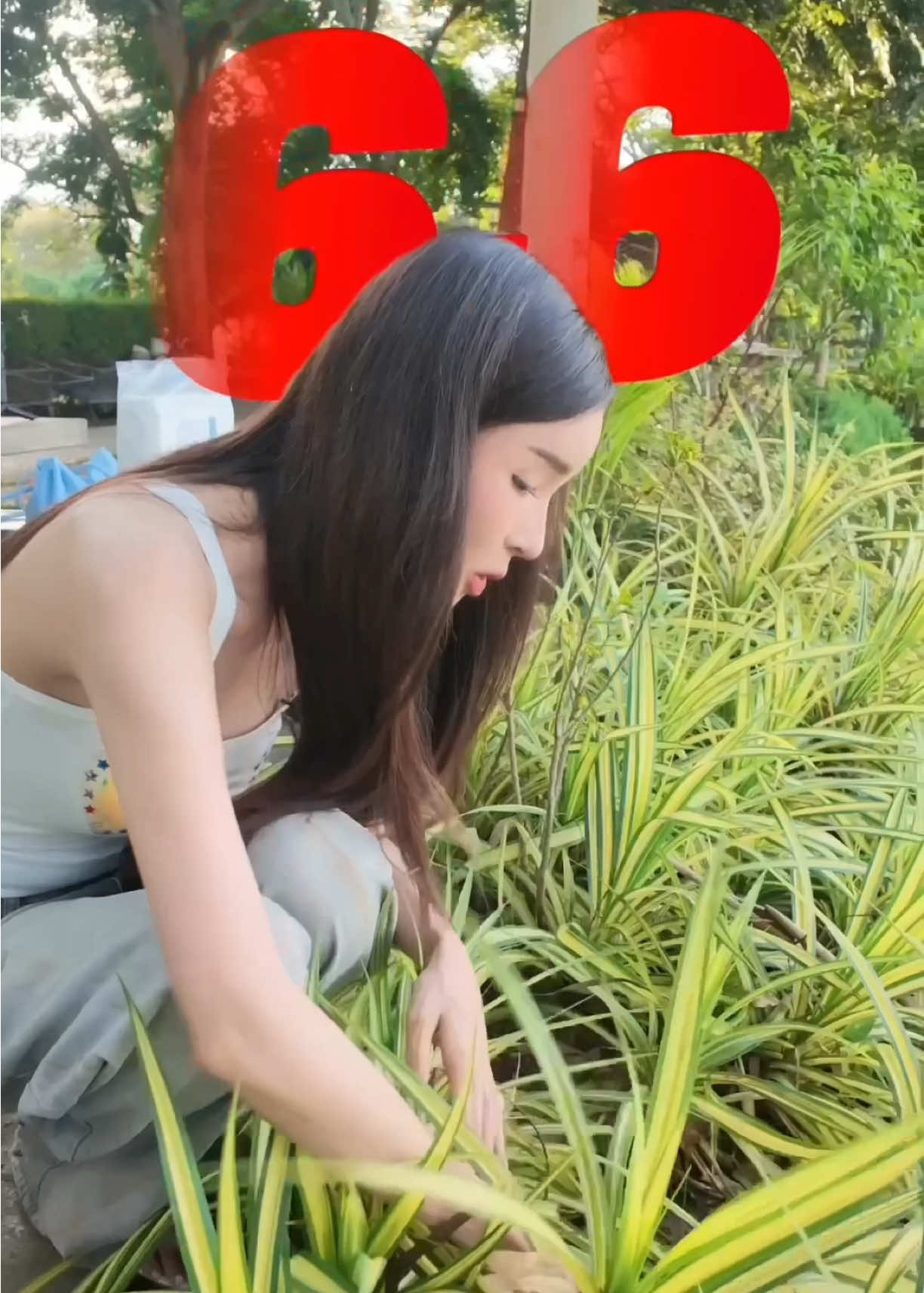 @THIPSU Official (ช่องจริง)