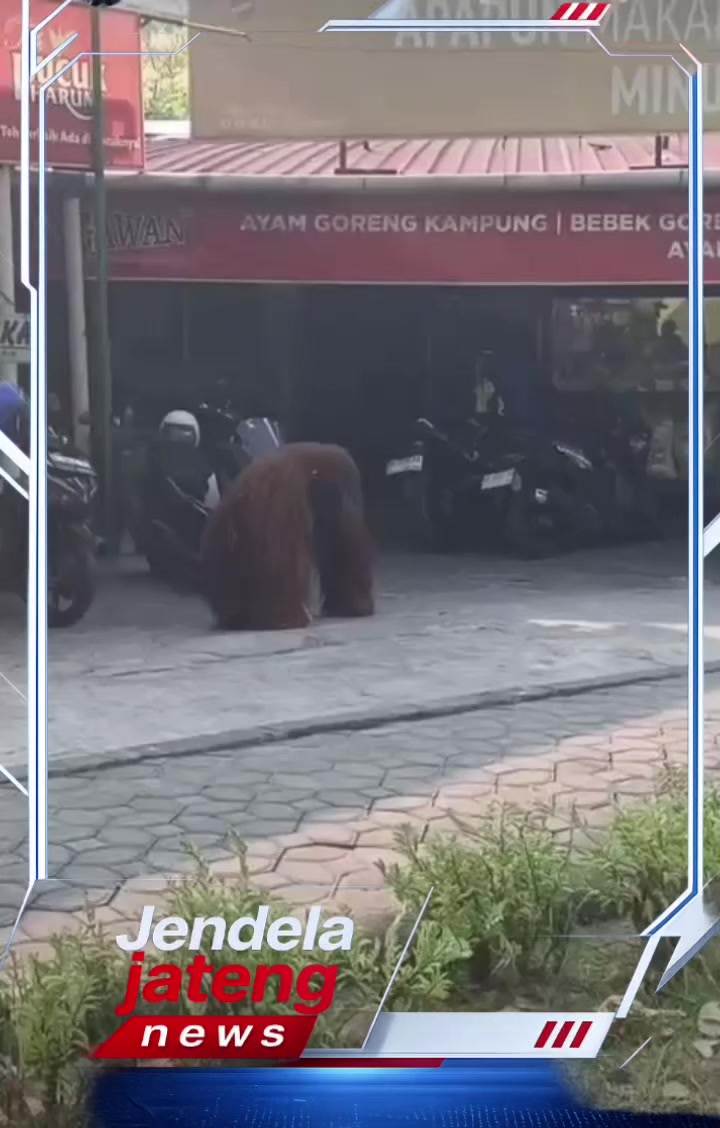 @Jendela Jateng News