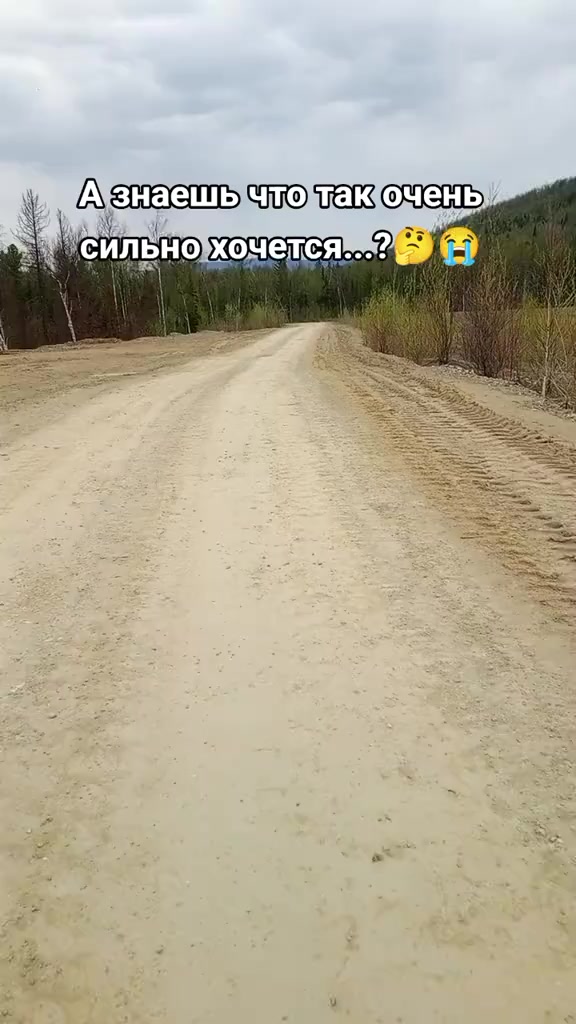 @Мой котик
