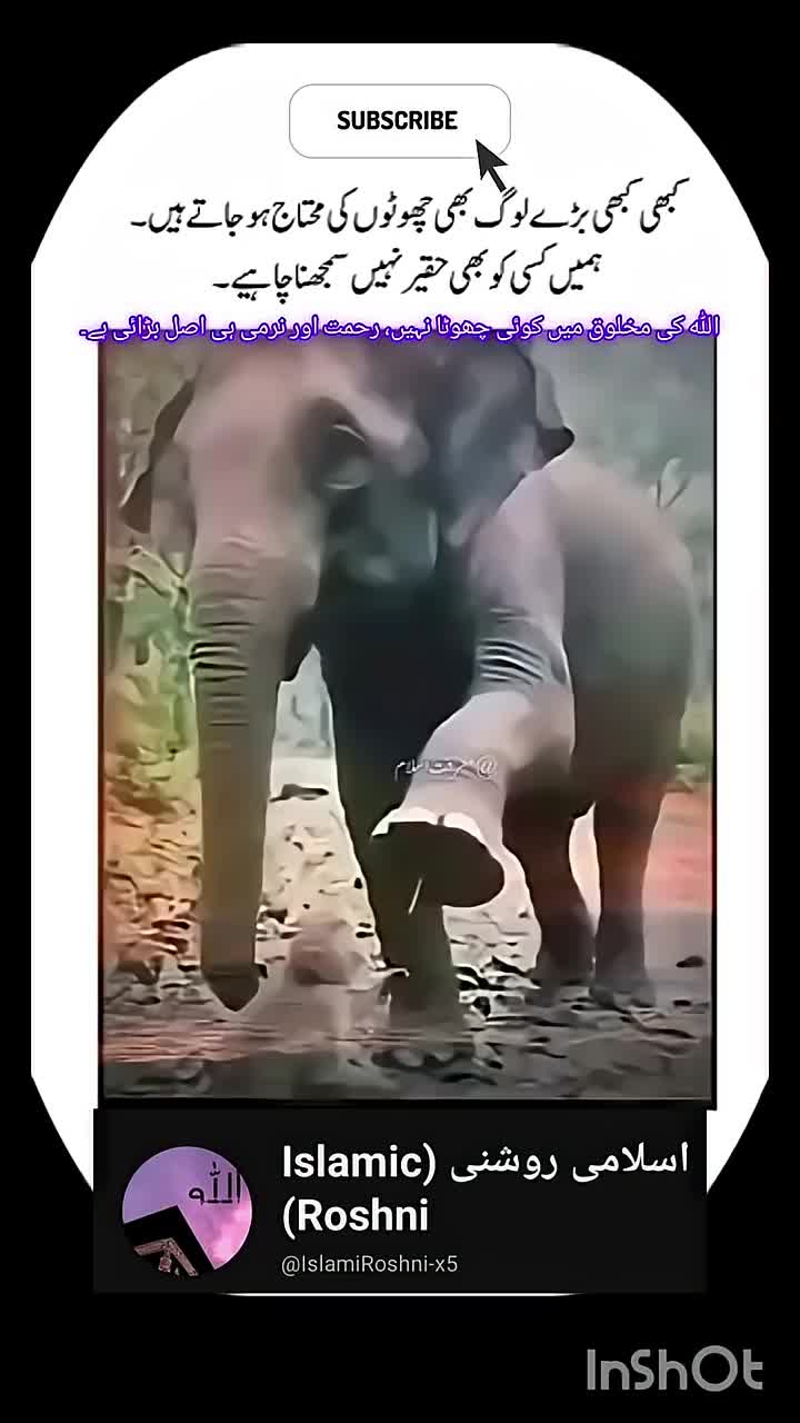 @❤️ Aamir Khakwani 💧خاکوانی