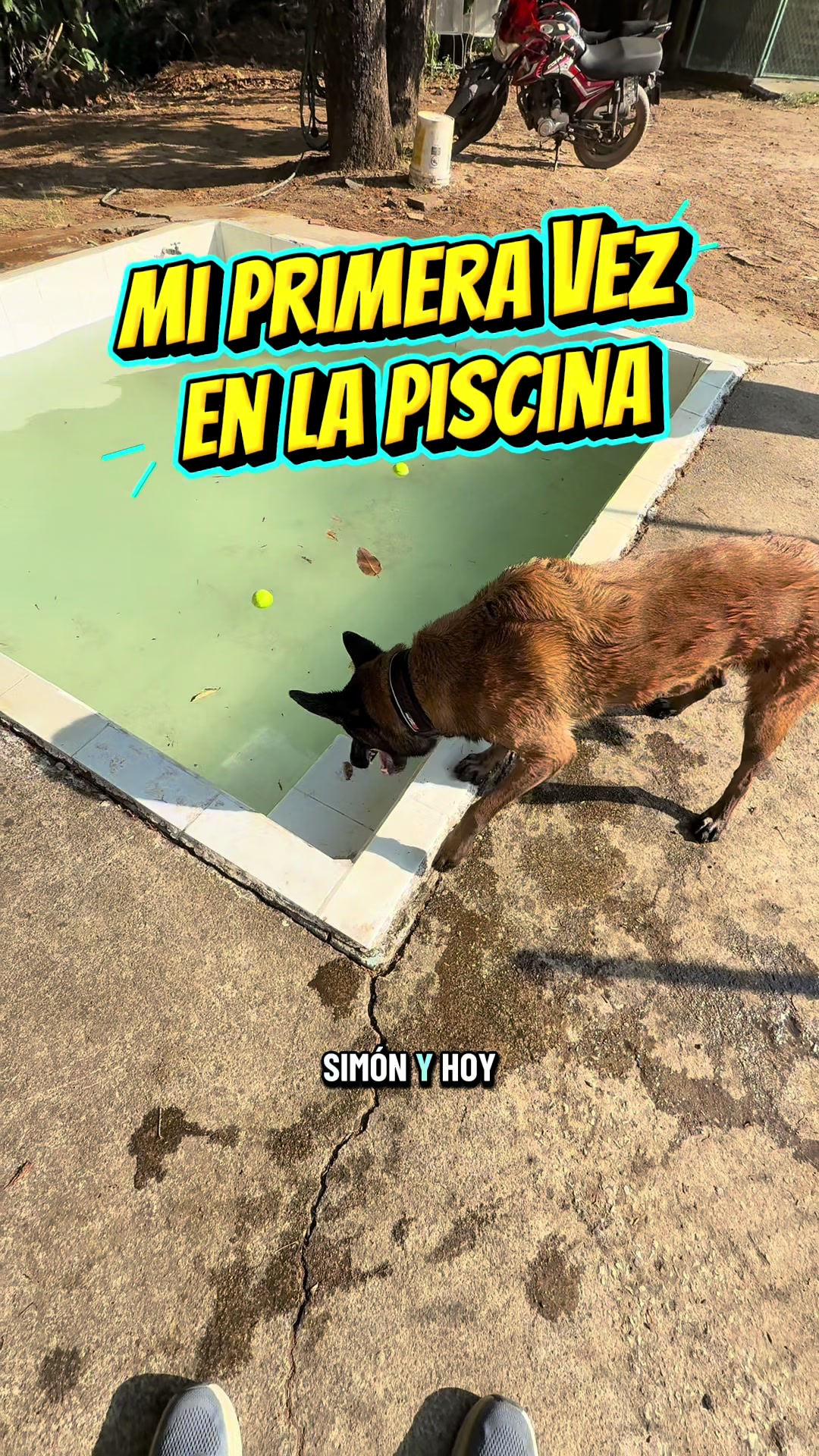 @simon_elmalinois
