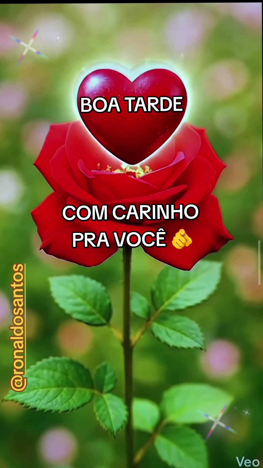 @ronaldosantos