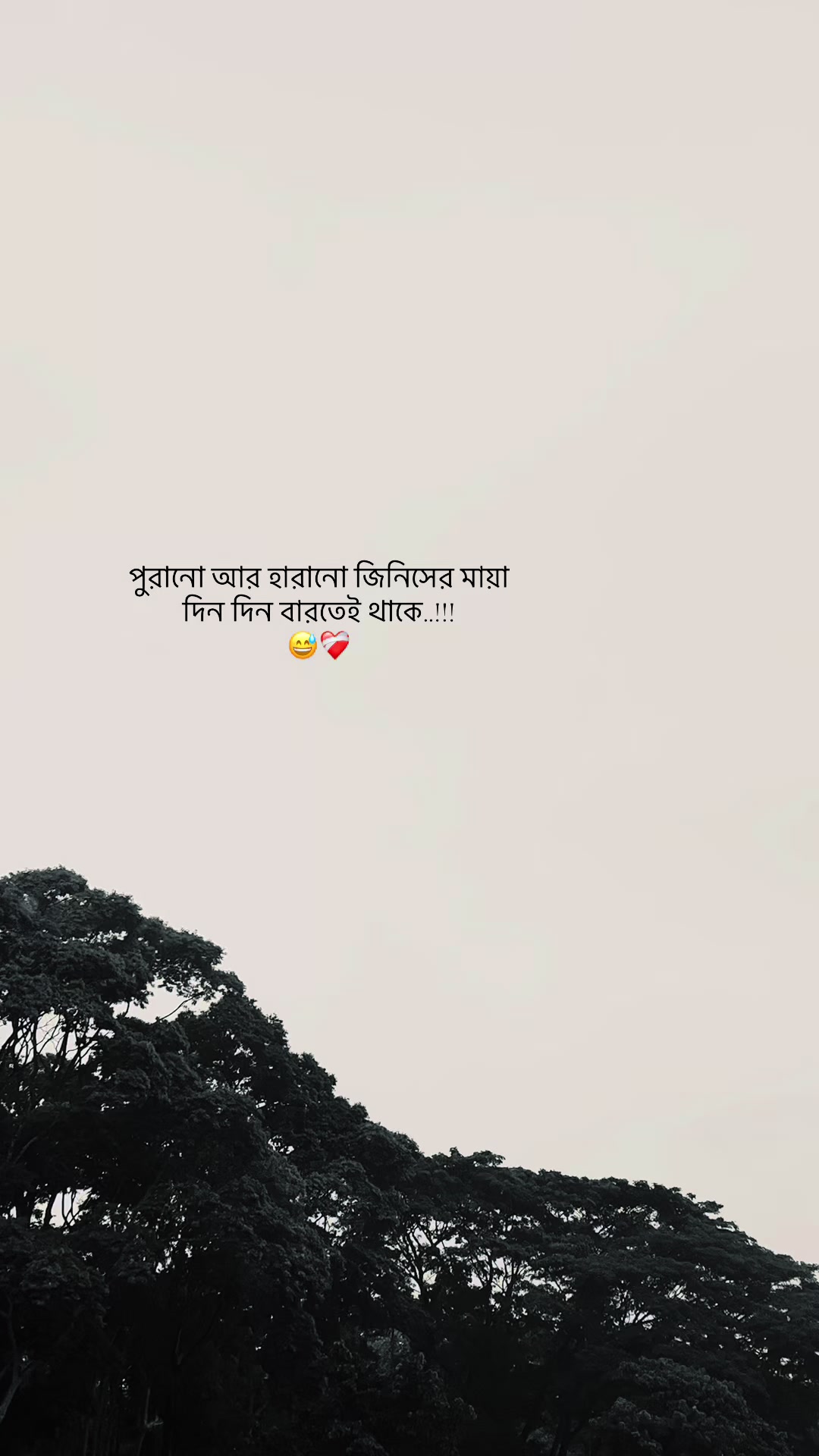 @đŗī¸A Z I M đĢ
