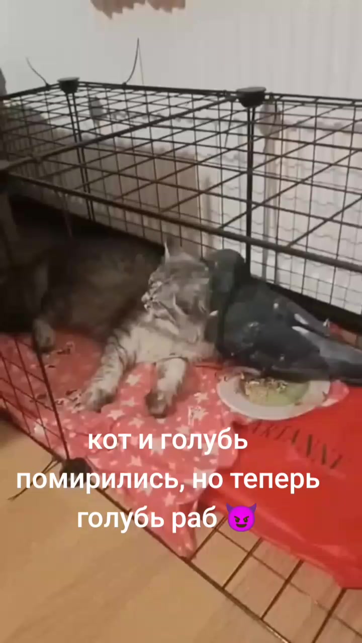 @Имя