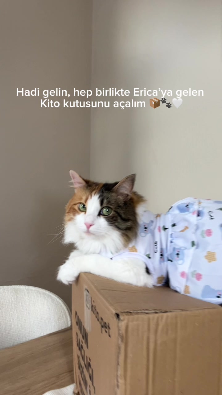 @erikitosko