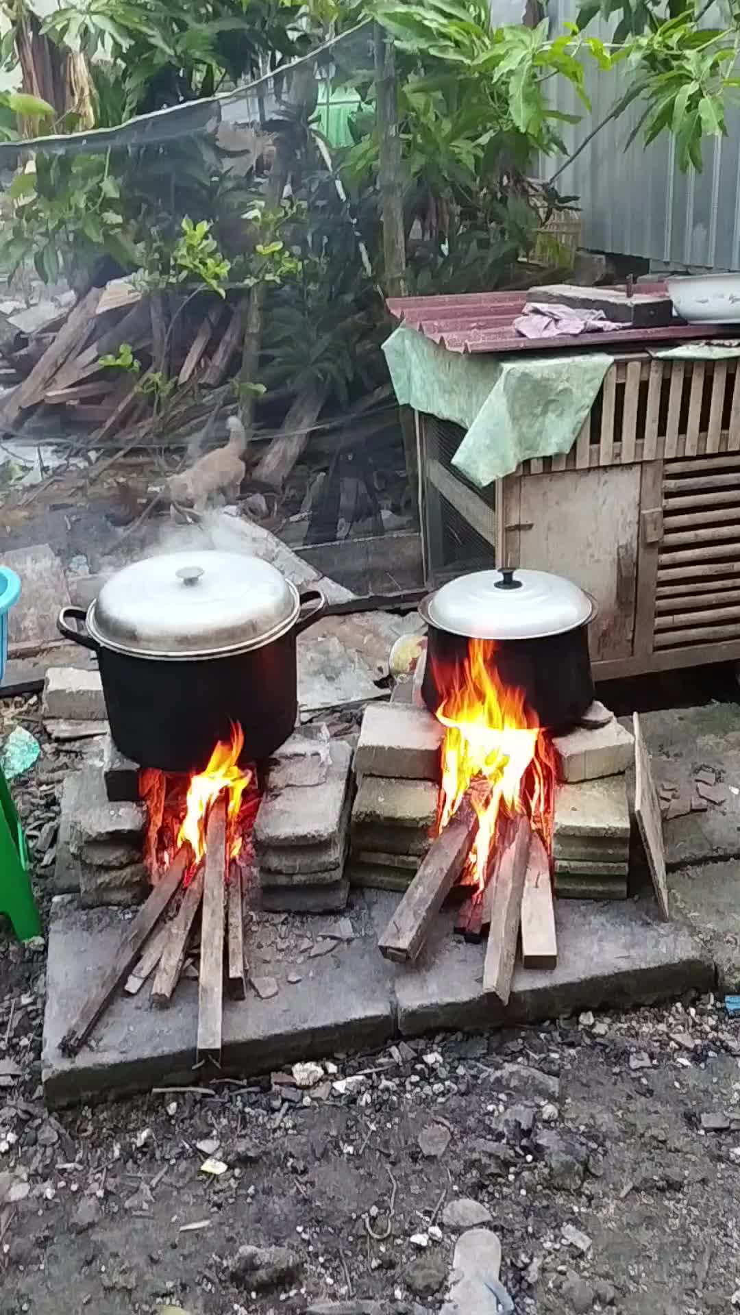 @Nila Mentari