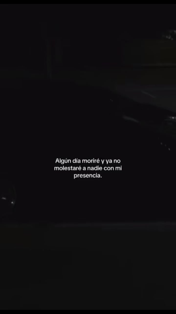@Tu Sarquito Favorito