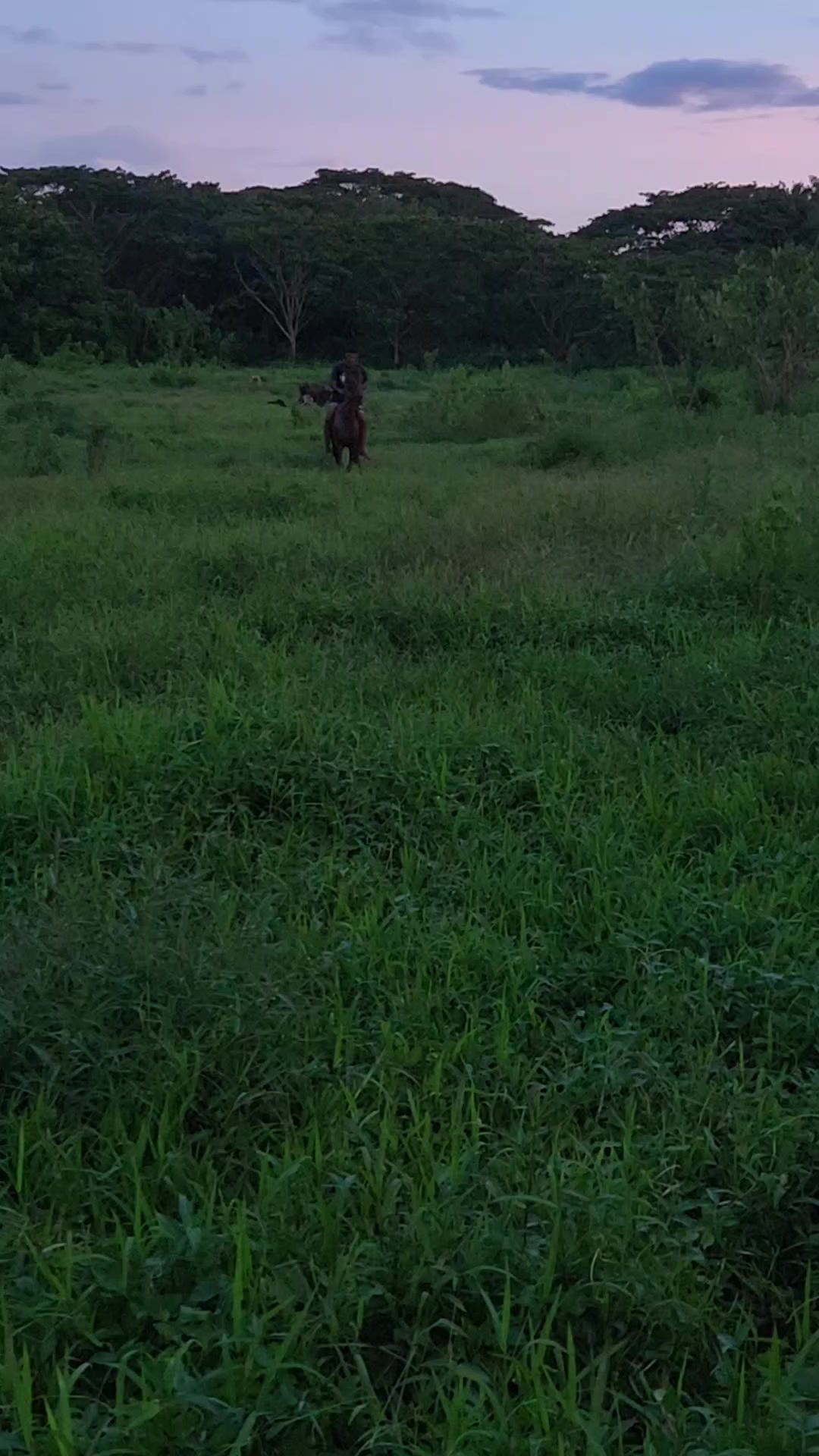 @S N I P E R
