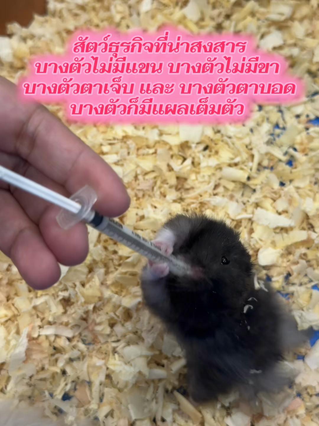 @แม่จูน