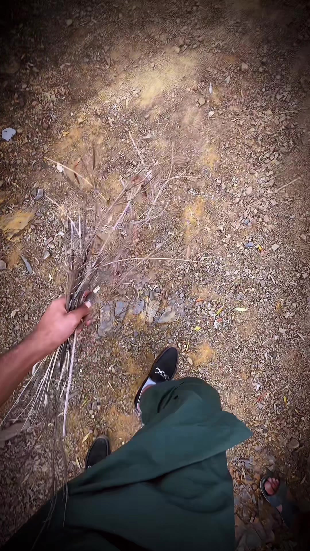 @✘⚬⚬𝐕𝐈𝐏 𝐁ÁĎŚ𝐇𝐀𝐇 🐺⚜️