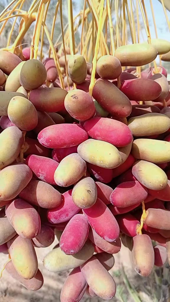 @আমিহীন দুনিয়া 😥😥😥☝️☝️000