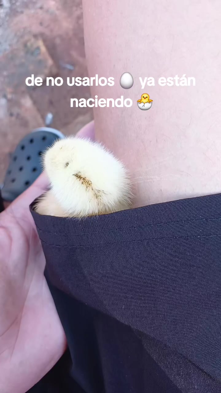 @Teteconpan🍼