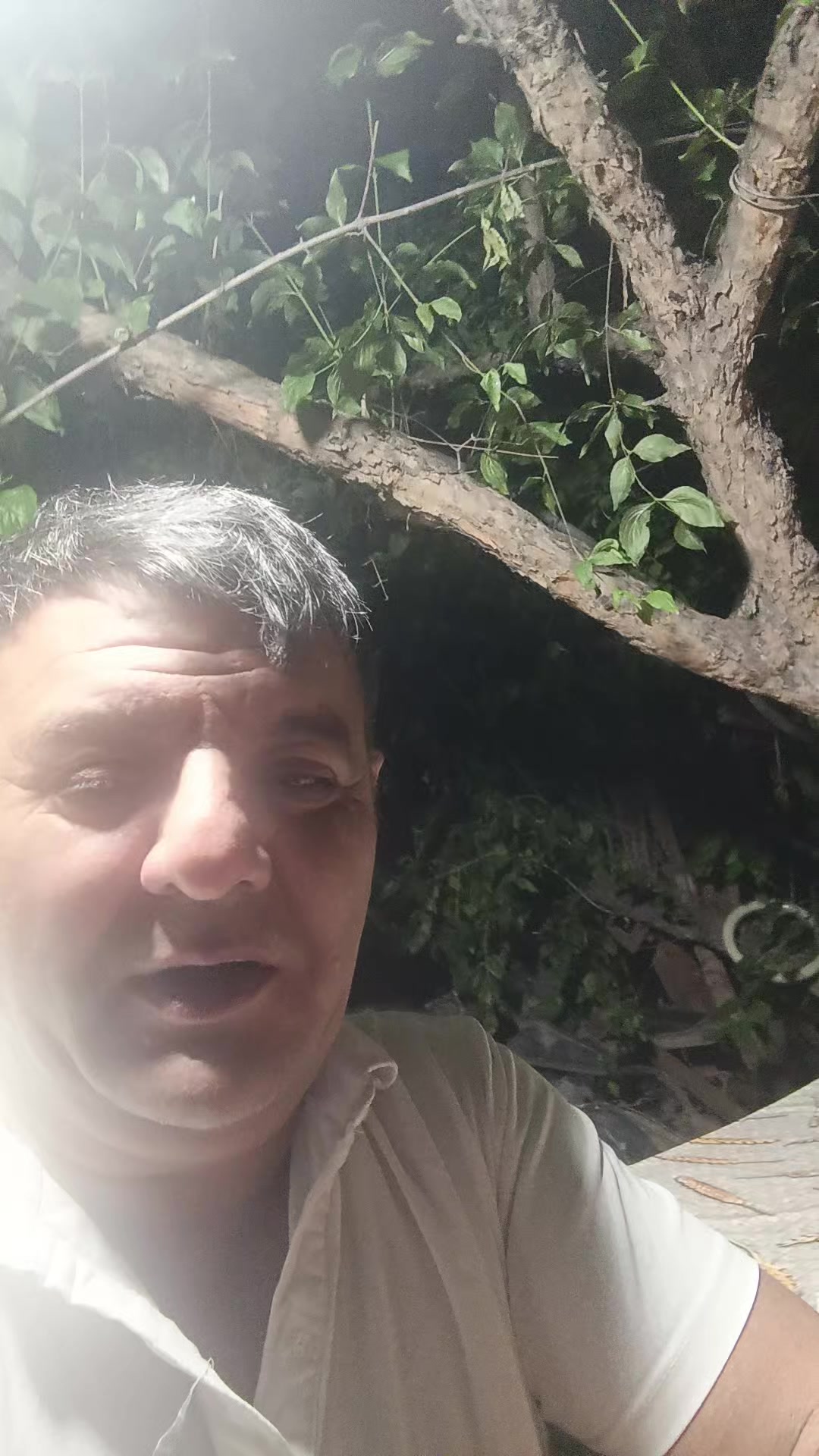 @l&uuml;t___Eşqin