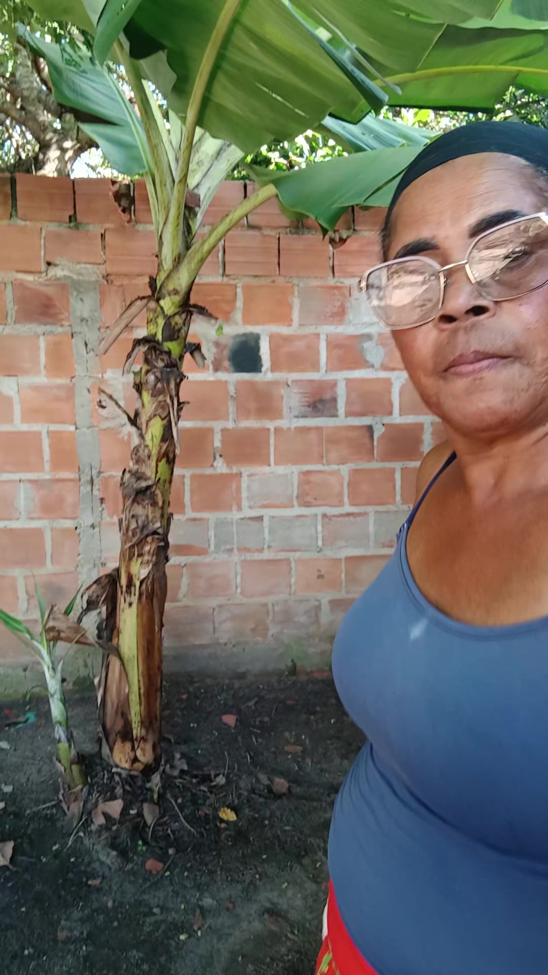 @famozinha do tiktok