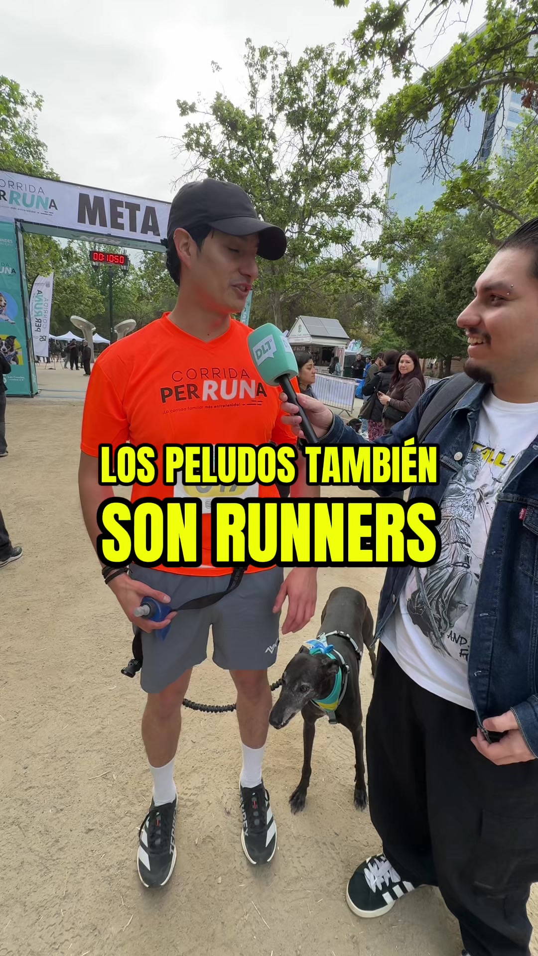 @dltsports
