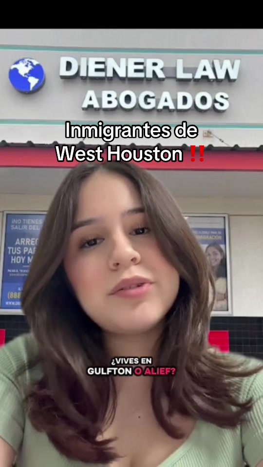 @dienerlawabogados