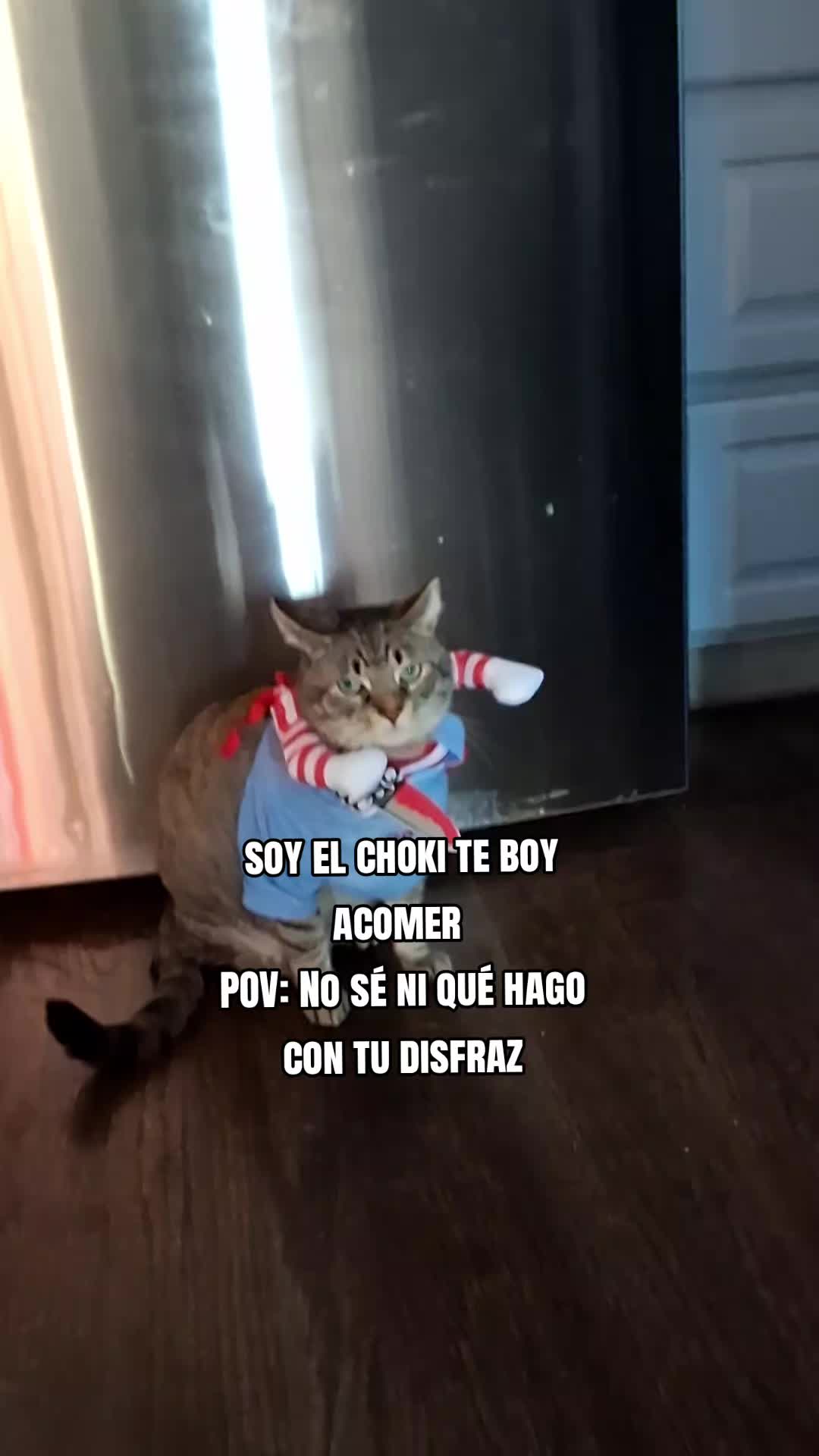 @Mamagatera20