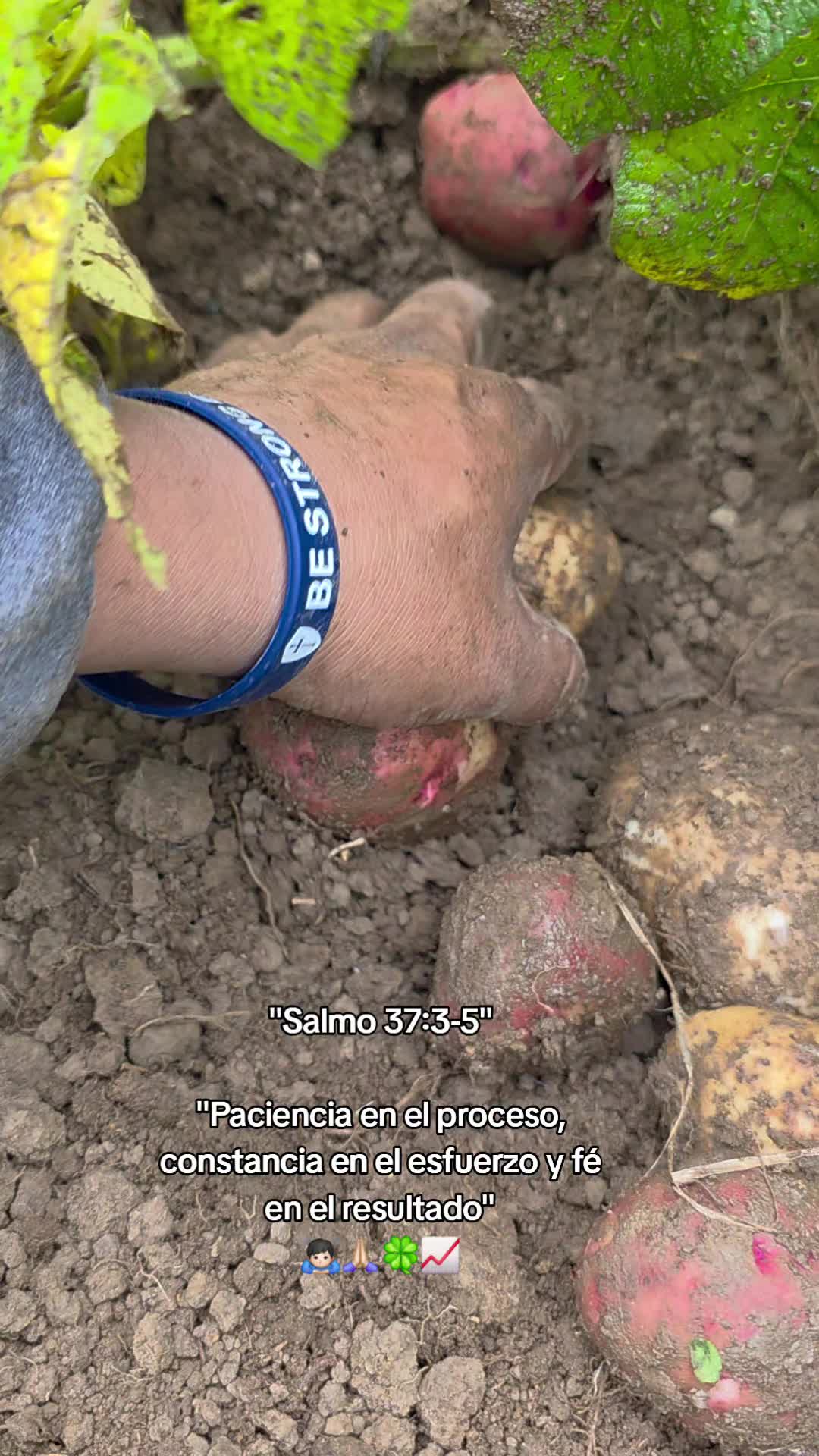 @𝙇𝙪𝙞𝙞502👨&zwj;🌾