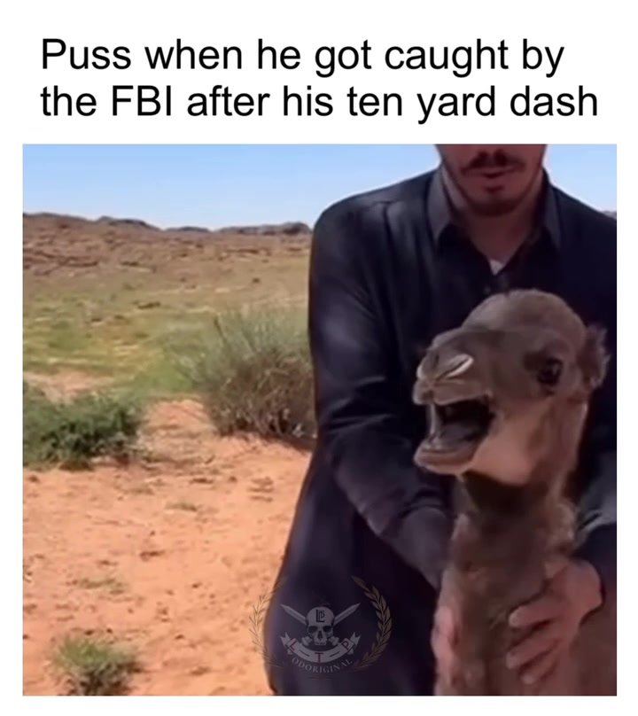 @sopranosltp_