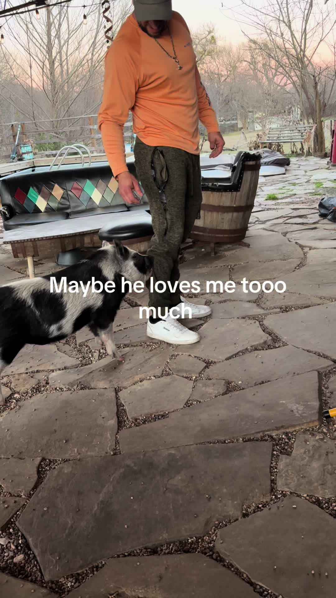 @MoffatBoy