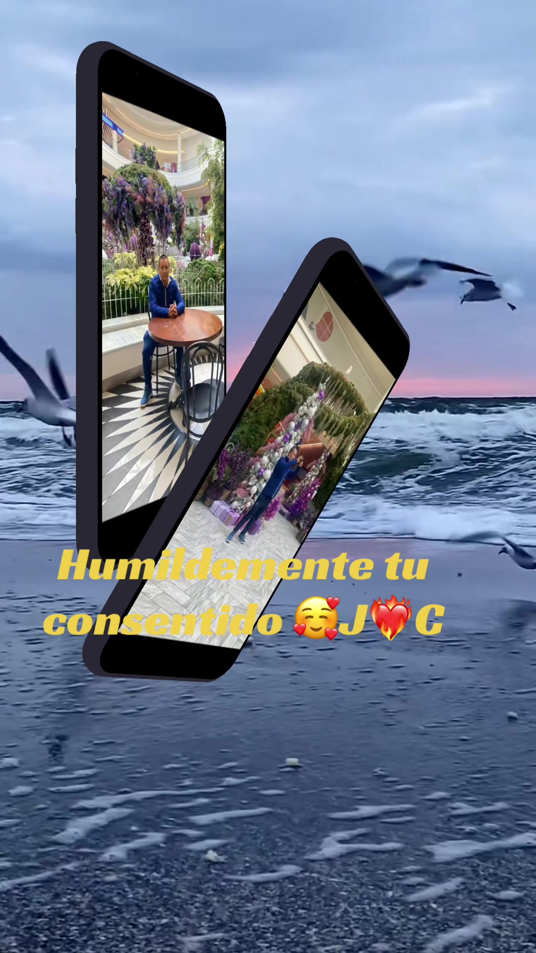 @JC ♥️Tu Consentido