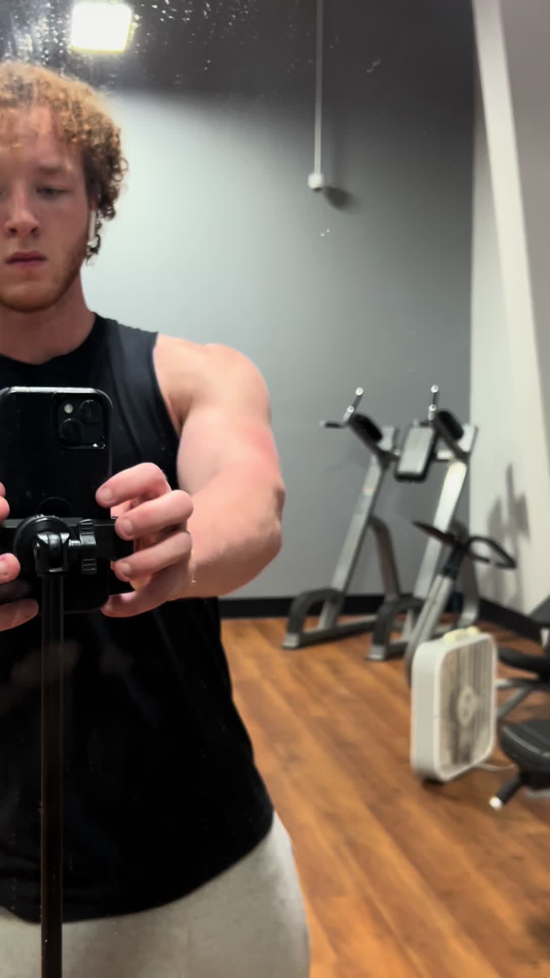 @small_ginger_